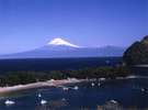 *港ごしに見る富士山は、格別に素晴らしいと評判です！