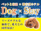 【Dog＆Stay】プラン