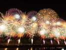 大迫力の復興祈願花火フェニックス！（長岡花火大会）