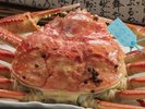 【加能蟹】~冬の味覚~