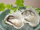 日本海直送「岩牡蠣」