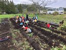 宮崎で農業体験