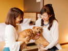 【愛犬同伴専用客室＜陶器風呂付き＞リビング＆ツインルーム/　愛犬と一緒に宿泊