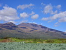 【浅間山】初夏～秋にかけて様々な高山植物を見る事ができる標高2,568mの活火山（夏）