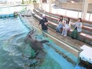 開演前ふれあいラグーン見学　　　　　※イメージ