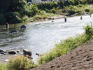 #雫石川などで、ヤマメ、イワナ釣りがお楽しみいただけます。(イメージ)