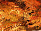 紅葉の名所 河鹿橋まで徒歩10分