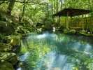 深緑に包まれながら、木漏れ日の中で入る温泉はまさに至福の癒し。