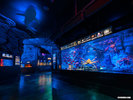 沼津港深海水族館　希少な深海生物が展示されています