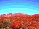 １０月初旬には、鮮やかな赤が栗駒山を染めます