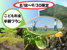 こども料金半額プラン