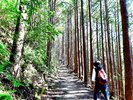 宿がある田辺市には世界遺産熊野古道があり、古道歩きや熊野三山ドライブ巡りを楽しんでいただけます。