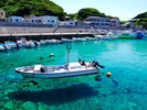 柏島