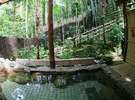 竹林に囲まれた庭園露天風呂