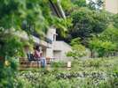 全室より浜名湖を臨み心安らぐ宿。中庭にはチャノキとツツジを植えた「つむぎ茶畑」が広がります。