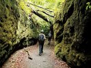 ◆苔の回廊楓沢ツアー（イメージ）