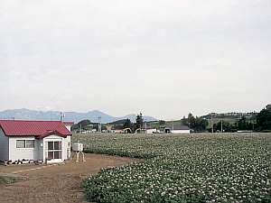 宿からの風景