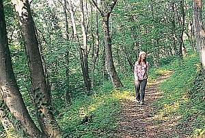 宿の横には森林浴散歩コースもあり　神鍋山山頂まで２０～３０分。