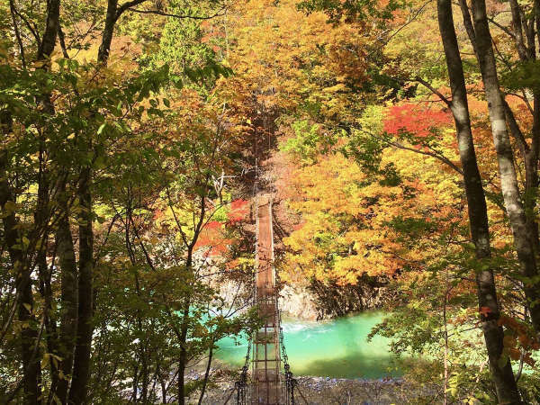 この散歩道を歩けば、誰もが切明の紅葉に恋をする。