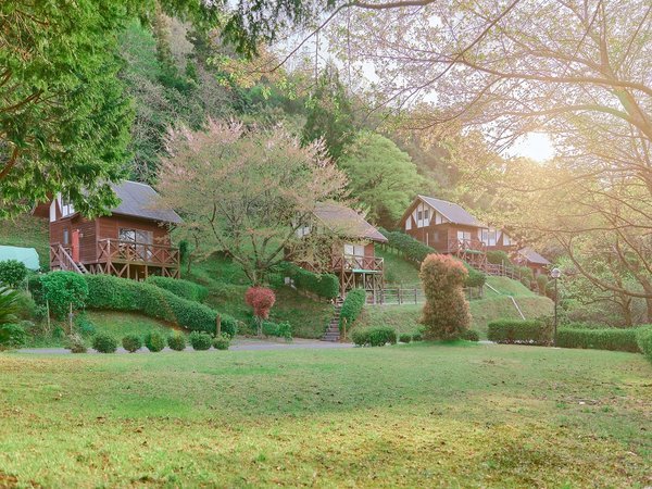 出雲市うさぎ森林公園 夢の森うさぎ キャンプ村の写真その1