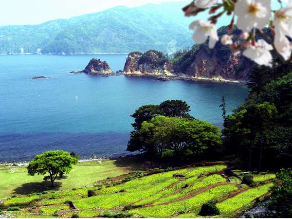 ペンション前の風景（春）