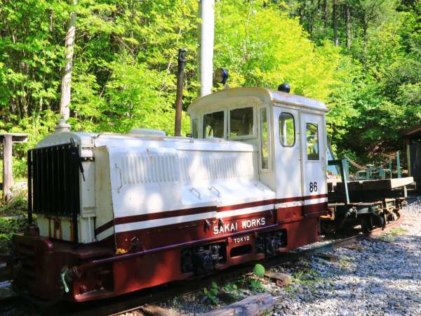 プチリゾート　アピアのプラン「赤沢森林鉄道＆ロープウェイ割引★さらに開田そばまで付いた木曽町を楽しみ尽くす欲張りプラン◎1泊2食」