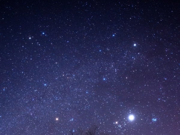 プチリゾート　アピアのプラン「【星空観察】★観察道具無料貸出★信州木曽・開田高原で『満天の星空』体験☆彡１泊２食付」