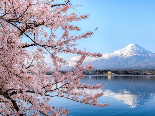 春はお花見に富士山観光に山梨旅を存分にお楽しみください