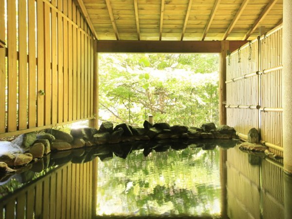 日本四大美人の湯 源美の宿 会津屋の写真その2