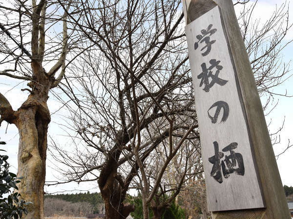 金浦温泉 学校の栖の写真その5