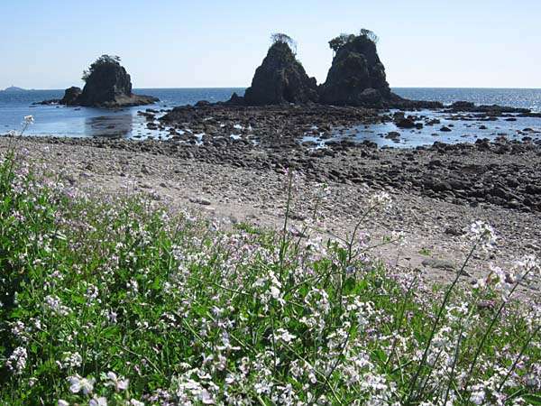 弓ヶ浜の隣にある奇岩の美しい浜、逢ヶ浜。シュノーケリングや磯遊びに最適の浜。徒歩９分。