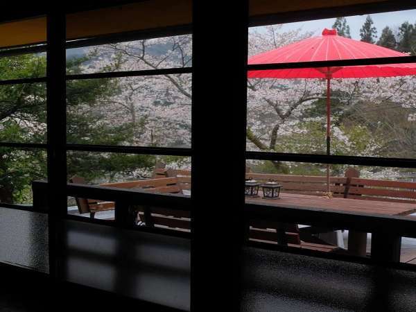 桜と2階テラス