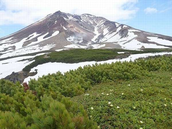 ■旭岳■旭岳の春は5月下旬頃と遅れてやってきます。