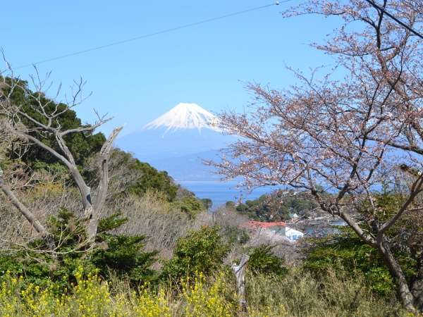 大瀬入り口付近より、春先の風景です。