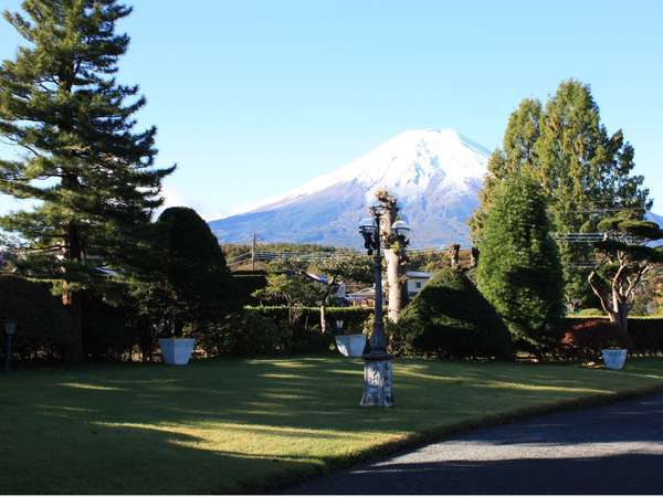 庭から見える富士山