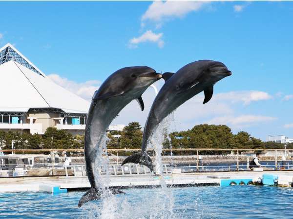 横浜テクノタワーホテルの写真その2