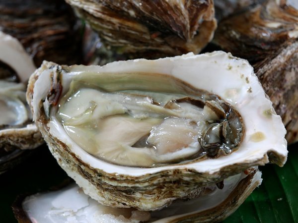 日本三美人の湯 湯宿 草菴(草庵)の写真その3