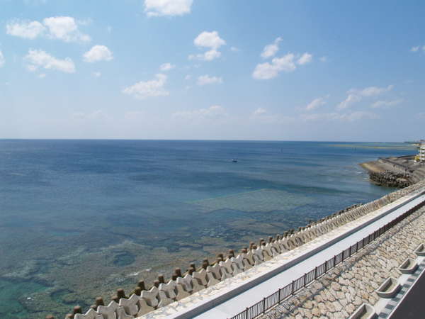 目の前の海と防波堤。朝から海を見ながら防波堤をお散歩！！気持ちいいですよ＾＾