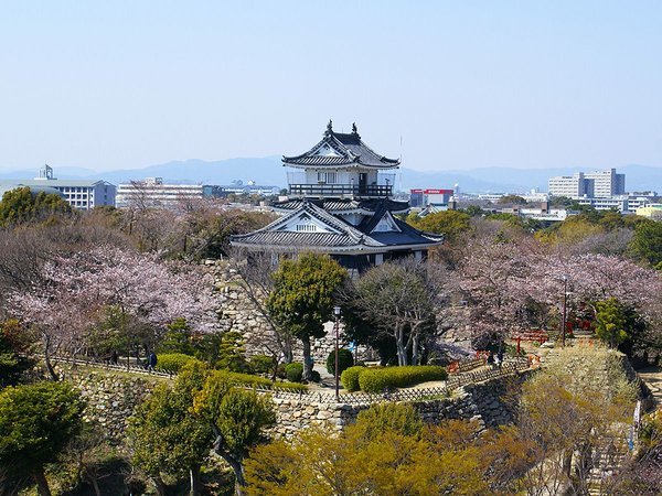 ◆浜松城の桜は、3月下旬から天守閣を囲むように咲き誇り、夜桜も楽しめます。