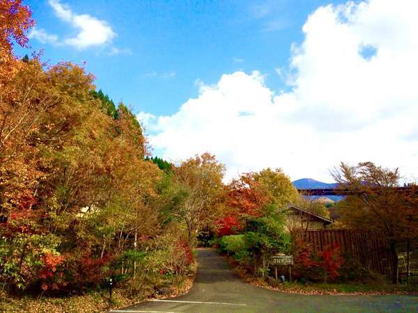 守護陣温泉の写真その1