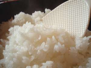 ご飯は魚沼産コシヒカリ。秋は収穫したての新米を味わえる