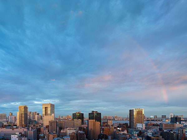 ホテル ザ セレスティン東京芝の写真その1