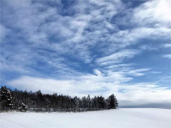 雪原の向こうに広がる樹海と青空