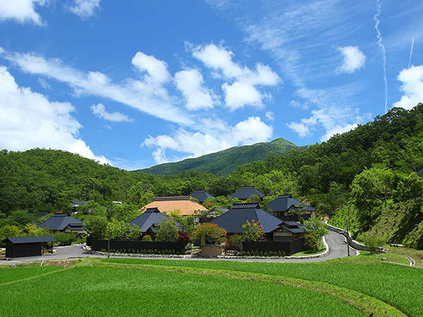 夏は涼しく緑も清々しい。