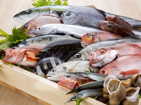 新鮮な魚介類は、ぜひお寿司やお刺身で！※画像はイメージです。