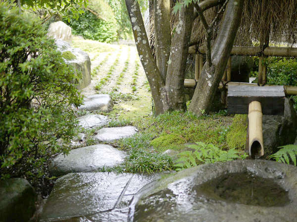 *当館自慢の日本庭園。風情ある空間が広がります。
