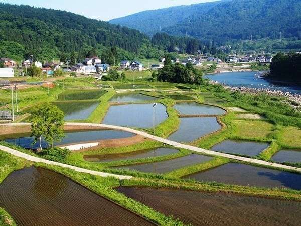 中条温泉 トマトの国の写真その2