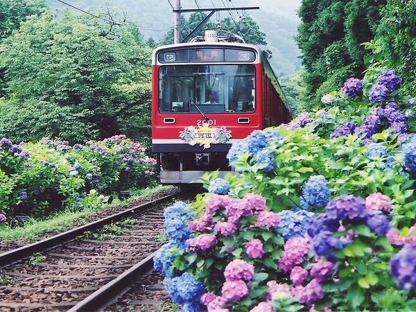 自家源泉掛け流しの宿 強羅環翠楼の写真その5