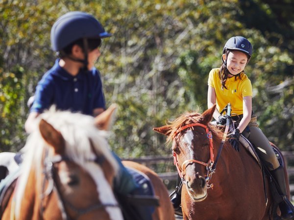 馬と触れ合い、学びを深めるプログラム「馬の学校」