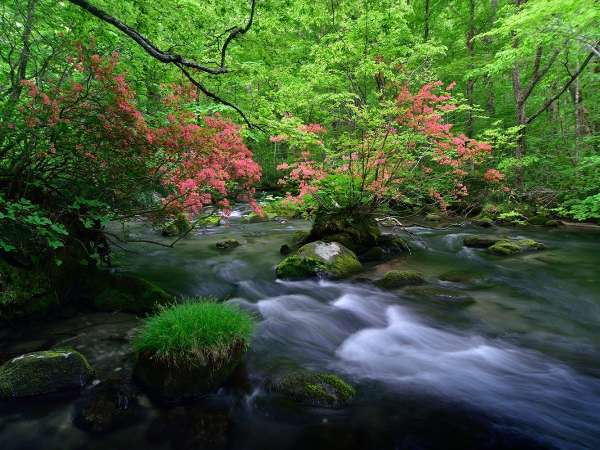 奥入瀬渓流　三乱の流れ